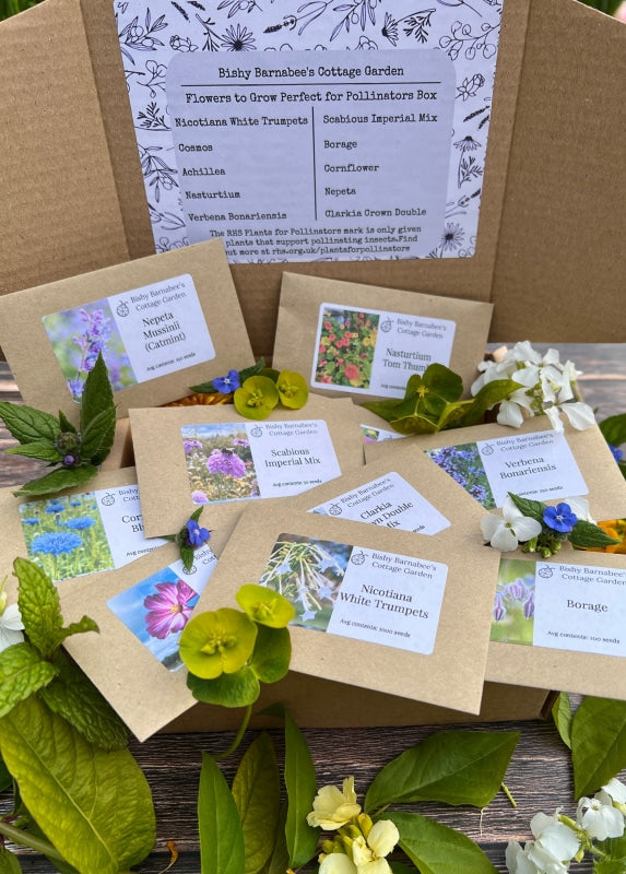 Assortment of flower seeds in packaging, ideal for attracting pollinators