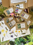A collection of "Flowers to Grow...Perfect for Pressing" seed packets by Bishy Barnabees Cottage Garden is spread out with dried flowers and ferns, plus a floral card and garden photos, creating a botanical-themed display.