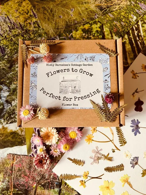 The Flowers to Grow...Perfect for Pressing box from Bishy Barnabees Cottage Garden is decorated with dried flowers and ferns—ideal for making pressed flower art and comes with floral cards and botanical images.