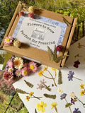 A Flowers to Grow...Perfect for Pressing box by Bishy Barnabees Cottage Garden is surrounded by pressing flowers, dried ferns, and cards with pressed flower art, all arranged on a floral-themed background.