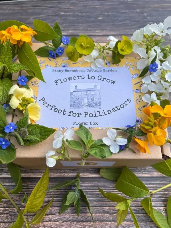 A brown box labeled "Flowers to Grow...Perfect for Pollinators" by Bishy Barnabees Cottage Garden sits on wood, surrounded by colorful flowers and green leaves. The label shows hand-drawn blooms and a cottage, promoting bee-friendly garden flowers.