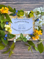 A box of Bishy Barnabees Cottage Garden “Flowers to Grow...Perfect for Pollinators” rests on wood, surrounded by yellow, blue, and white bee-friendly blooms and green leaves. The label shows a charming small cottage illustration.