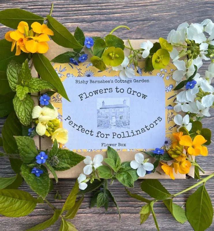 A box of Bishy Barnabees Cottage Garden’s "Flowers to Grow...Perfect for Pollinators" rests on wood, surrounded by vibrant bee-friendly flowers and green leaves. The packaging showcases a house sketch and bright yellow decorative paper.