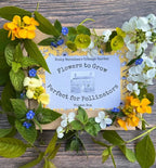 A box of Bishy Barnabees Cottage Garden’s "Flowers to Grow...Perfect for Pollinators" rests on wood, surrounded by vibrant bee-friendly flowers and green leaves. The packaging showcases a house sketch and bright yellow decorative paper.