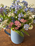 Forget-me-not Victoria Mixed (Myosotis) – blue, pink and white posy in a blue jug on a wooden table