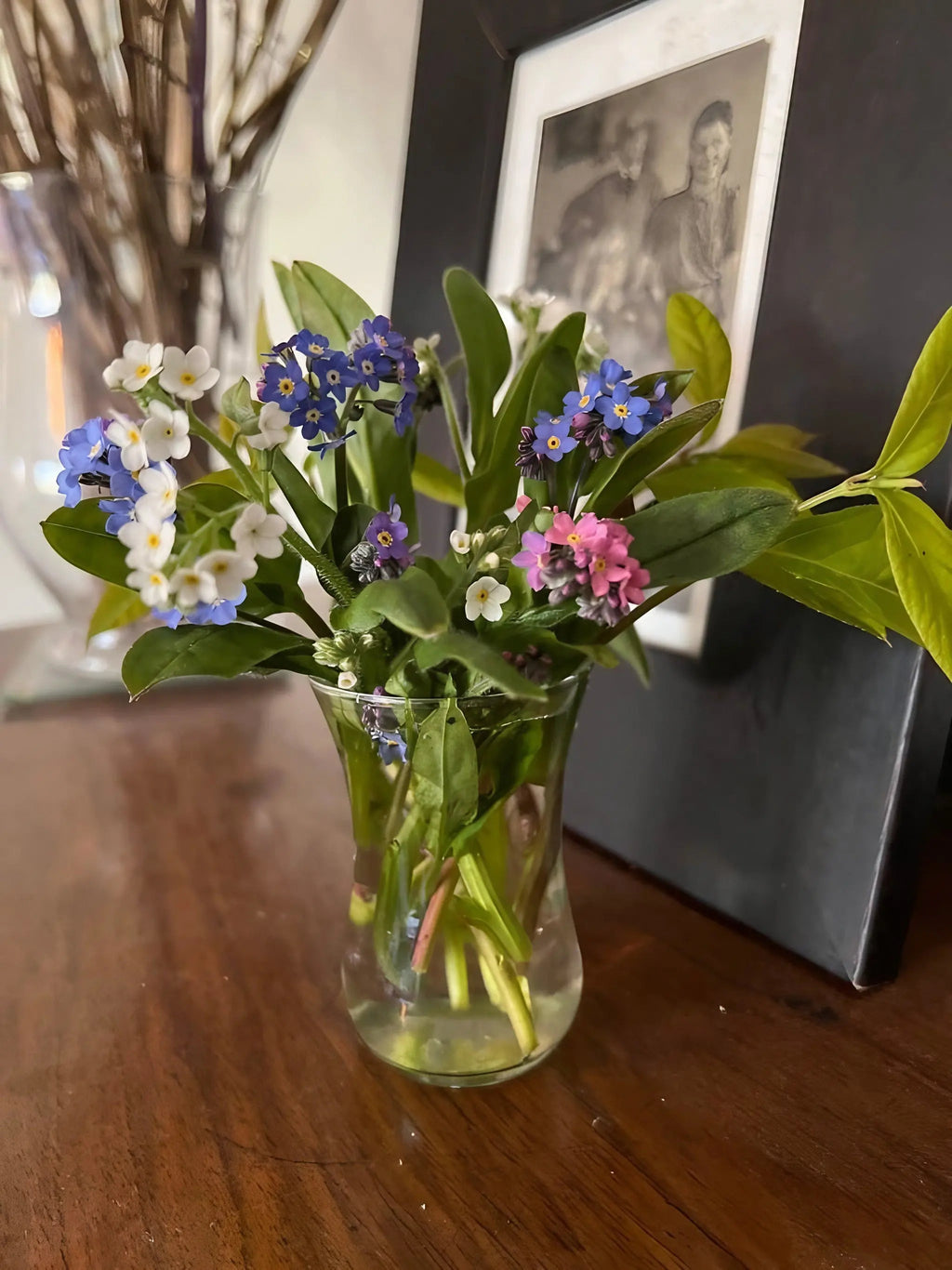 A small glass vase displays Bishy Barnabees Cottage Garden Forget-me-not Victoria Mixed flowers with green leaves on a wooden surface in front of a framed black-and-white photo.