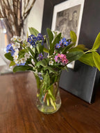 A small glass vase displays Bishy Barnabees Cottage Garden Forget-me-not Victoria Mixed flowers with green leaves on a wooden surface in front of a framed black-and-white photo.