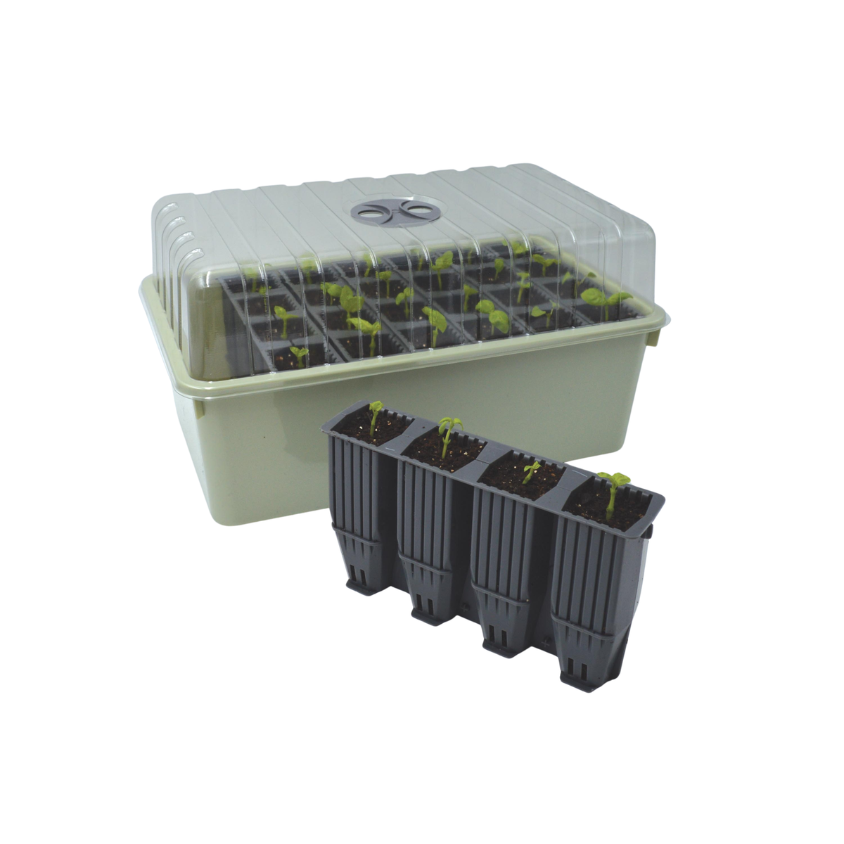 Garland Deep Root Propagator with lid beside a strip of deep cells