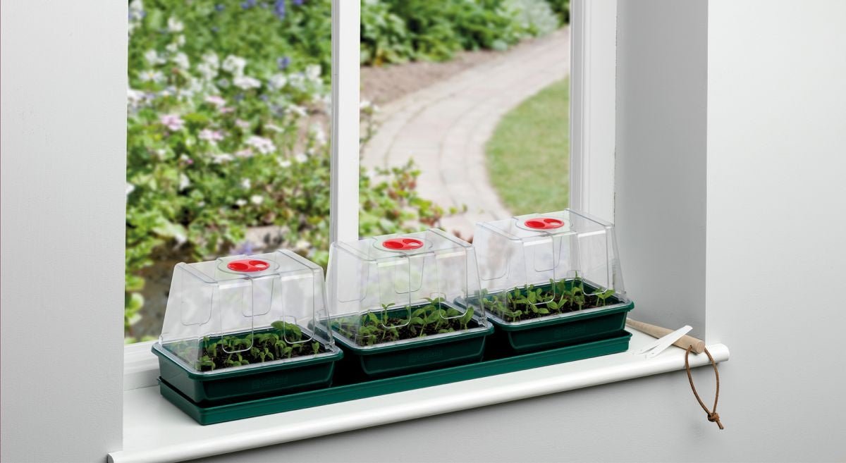 Three Top Windowsill Propagator, Indoor Seed and Cutting Starter, 76cm Long