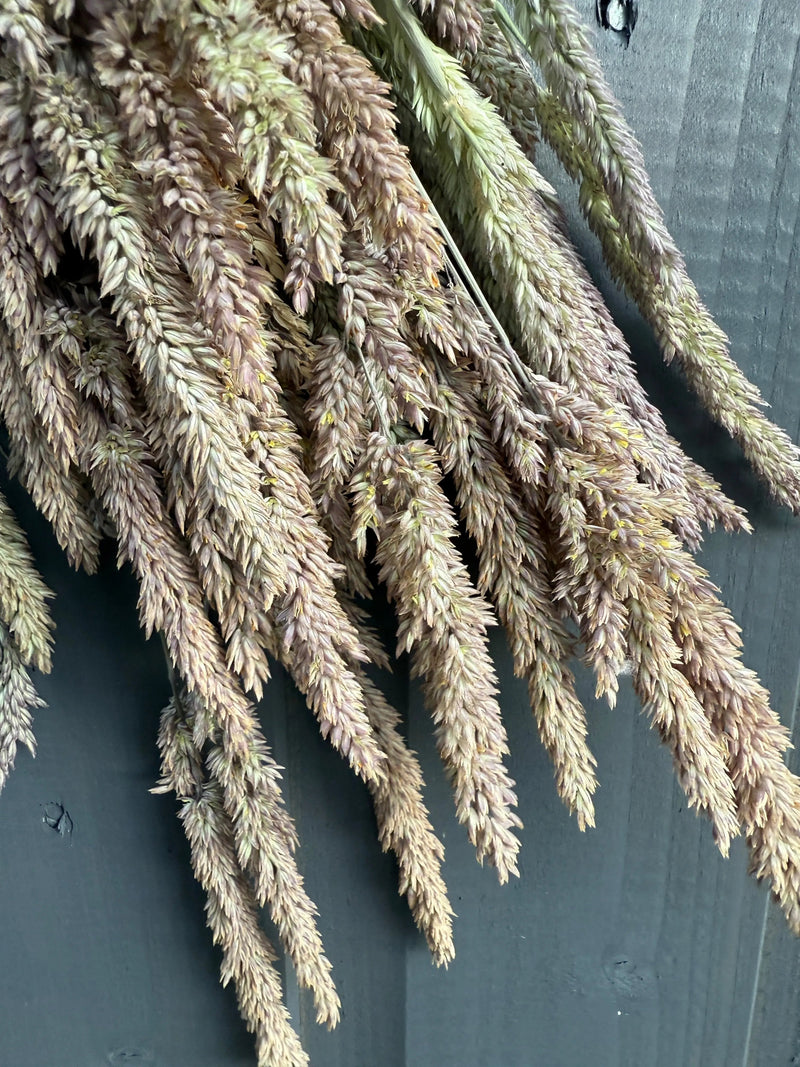 Close-up of Grass Mixed Dried by Bishy Barnabees Cottage Garden Ltd, featuring feathery seed heads in tan and purple, including delicate bunny tails, displayed against a dark gray wooden background.