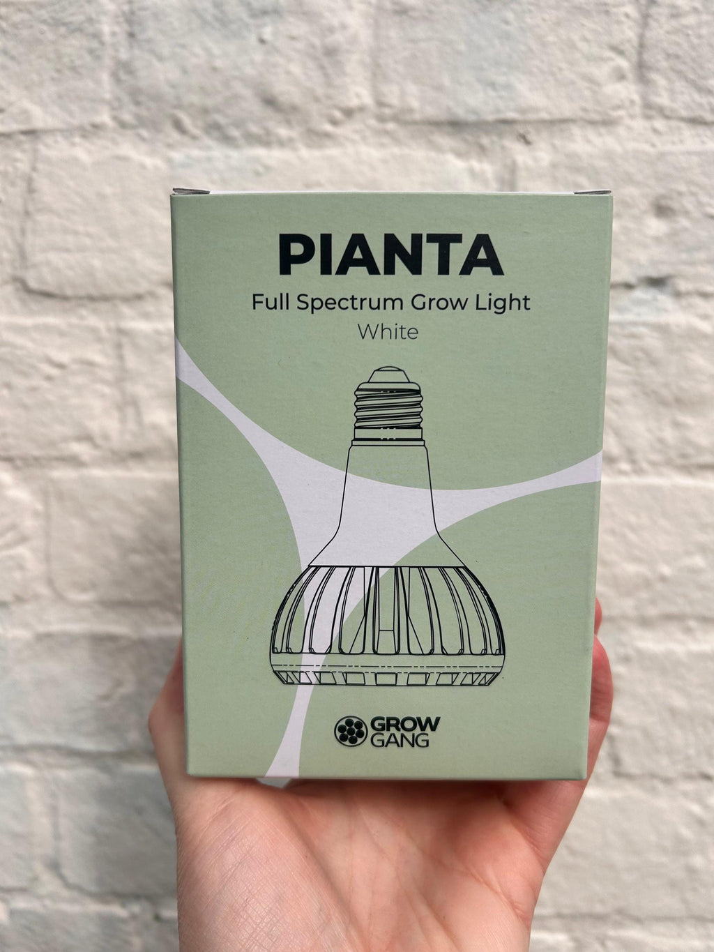Hand holding a Grow Gang Pianta Full Spectrum Plant Light Bulb box against a white brick wall