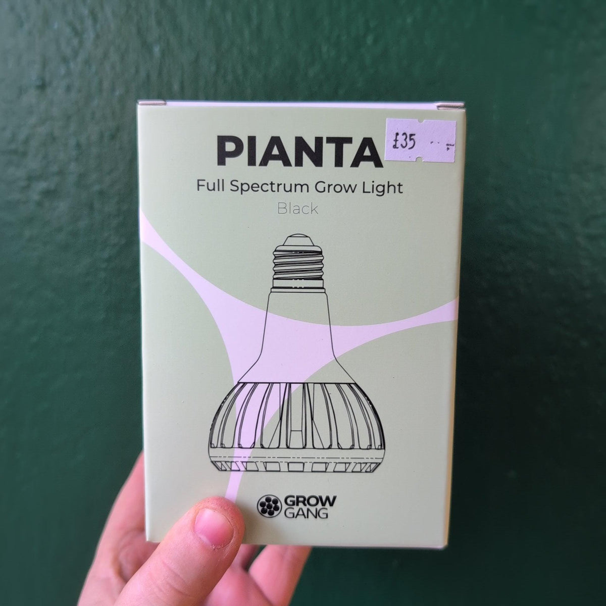 Hand holding a Grow Gang Pianta grow light box against a dark green wall