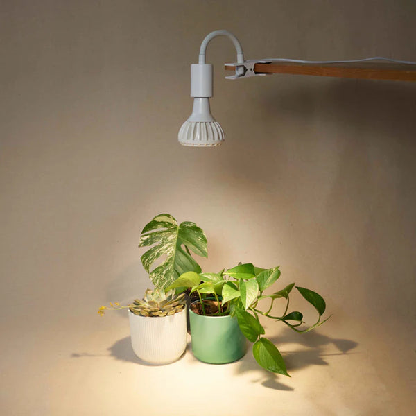 Grow Gang Stelo Gooseneck Lamp Stand clipped to a shelf, lighting potted houseplants
