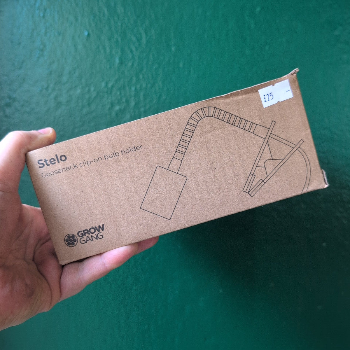 Hand holding a Grow Gang Stelo lamp stand box in white against a green wall