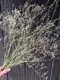 A hand holds a bundle of Gypsophila Pink Dried by Bishy Barnabees Cottage Garden Ltd, featuring delicate pink buds ideal for wedding cake decoration, set against a dark wooden background.