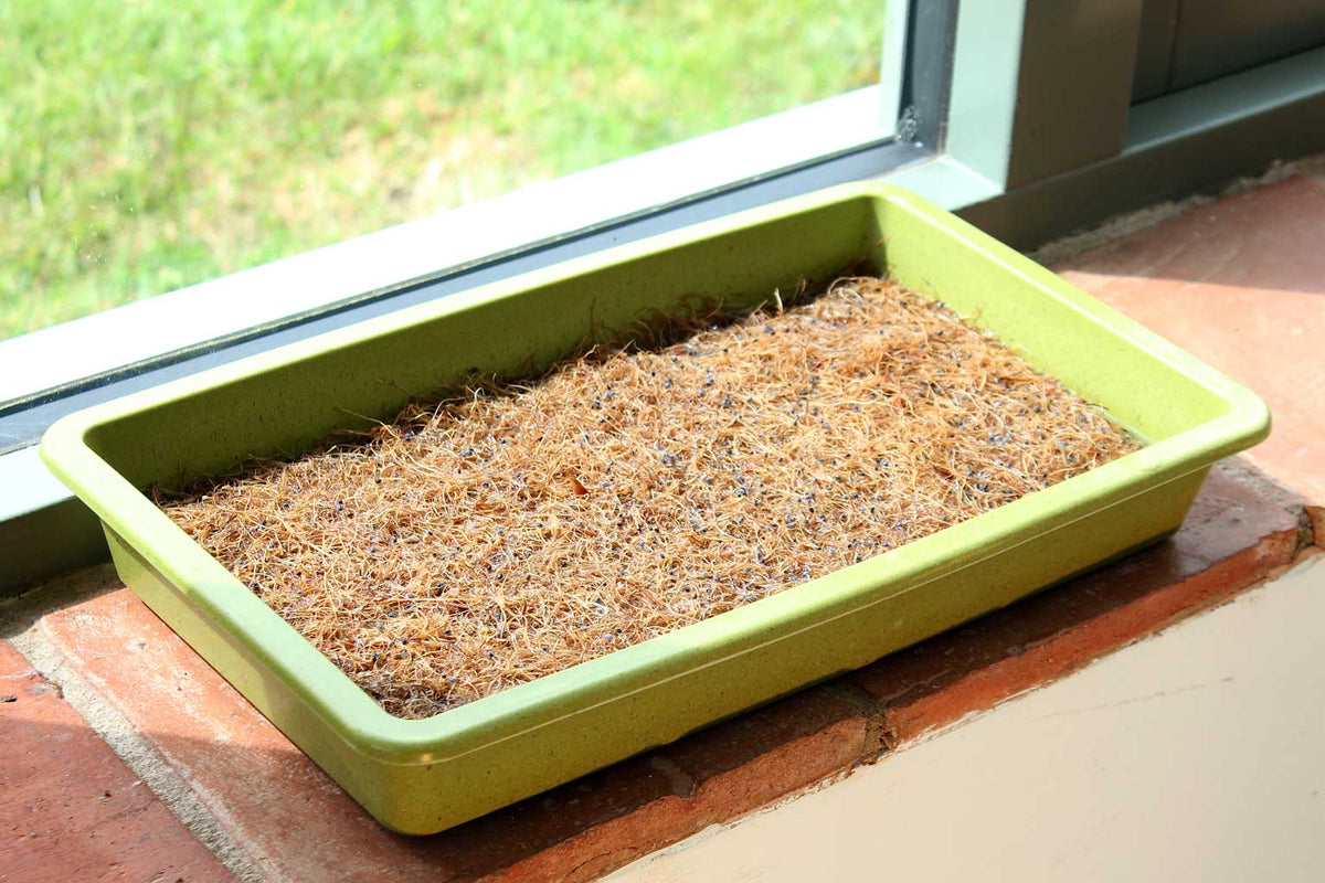 Haxnicks Microgreen Growing Mats | Hemp, Pack of 3