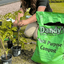 A person kneels on grass, planting seedlings next to a large green bag of Dandy's Topsoil & Landscape Supplies Compost Peat Free Multi Purpose Welsh. Gardening tools and small pots are nearby under the sunny outdoor sky.