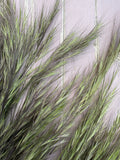 Hordeum (Barley) Grass Dried by Bishy Barnabees Cottage Garden Ltd features natural green and dried blades on a weathered lavender wood surface—ideal for rustic home styling or farmhouse decor accents.