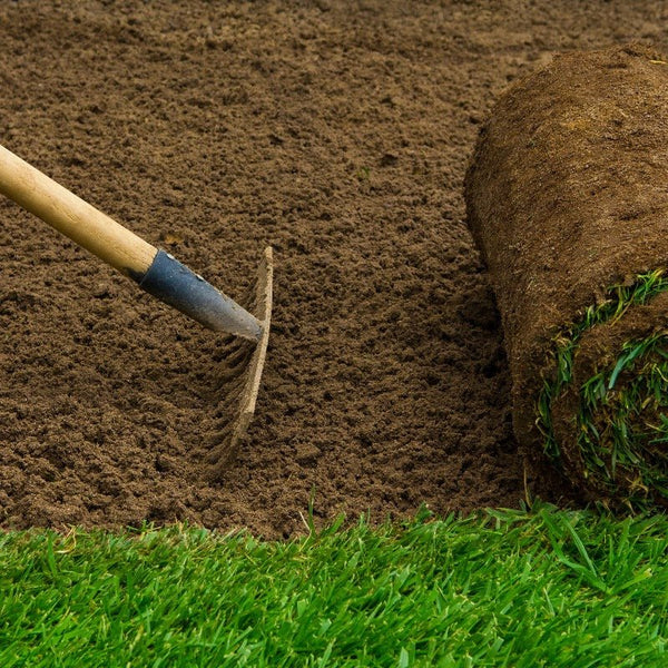 A close-up of a garden rake smoothing soil beside rolled-up sod and lush grass highlights the benefits of Dandy's Topsoil & Landscape Supplies Rootzone Sand and Soil Mix for optimal lawn drainage.