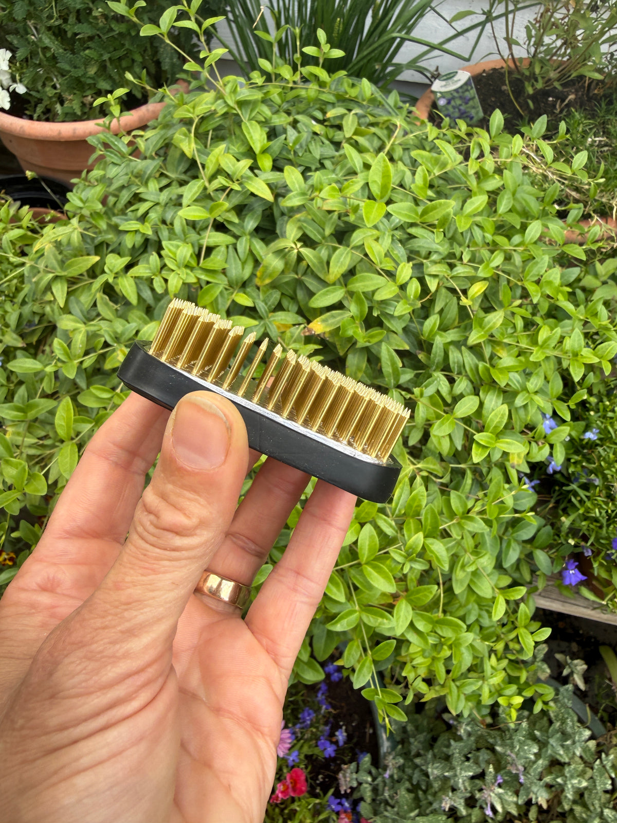 Rectangular Kenzan Flower Frog held edge-on showing brass pins