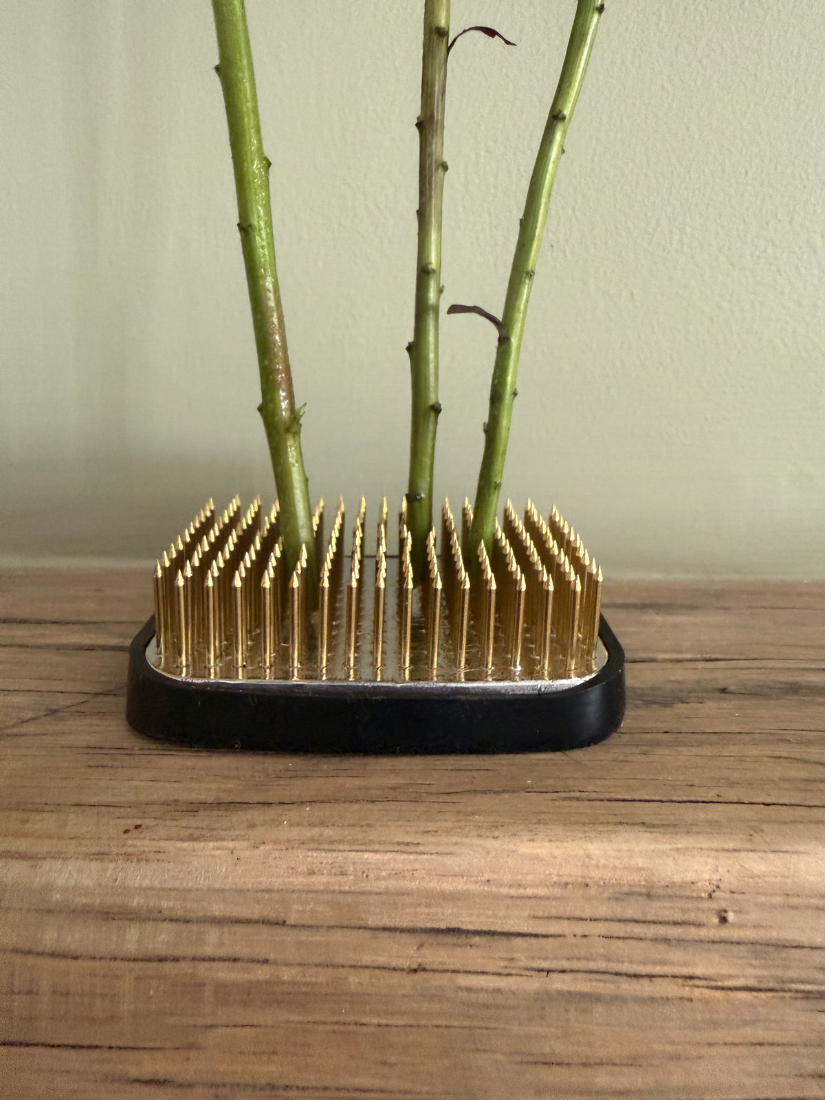 Kenzan Flower Frog holding three bare stems upright on a wooden surface