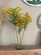 Kenzan Flower Frog holding a tall arrangement of yellow solidago on a shelf