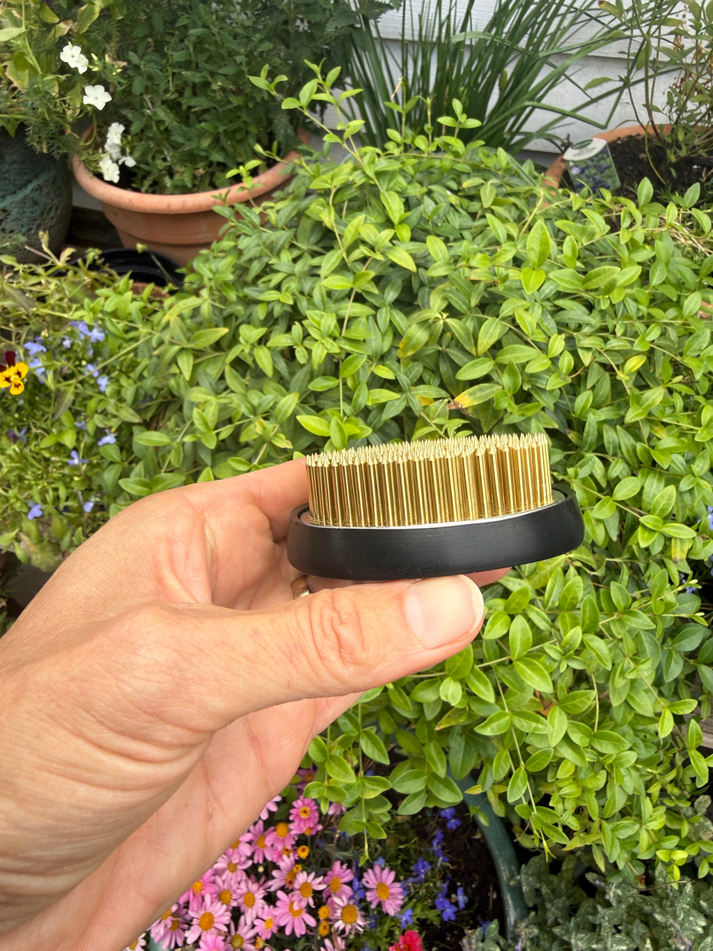 Side view of a round Kenzan Flower Frog in hand showing black base and pins