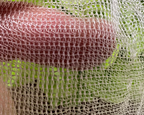 Finger pressing against fine InsectoNet mesh with greenery behind