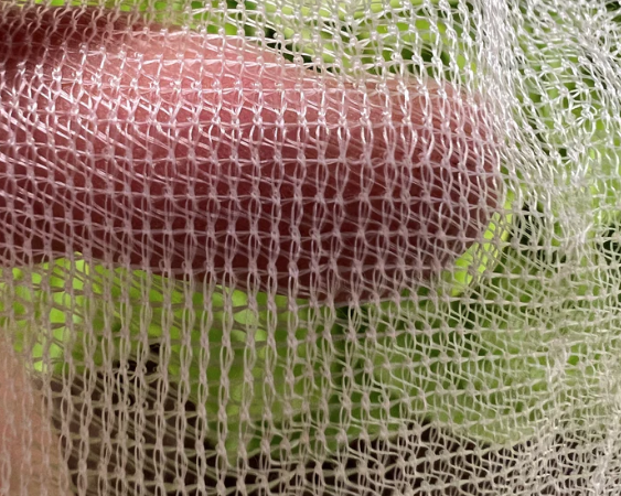 Finger pressing against fine InsectoNet mesh with greenery behind
