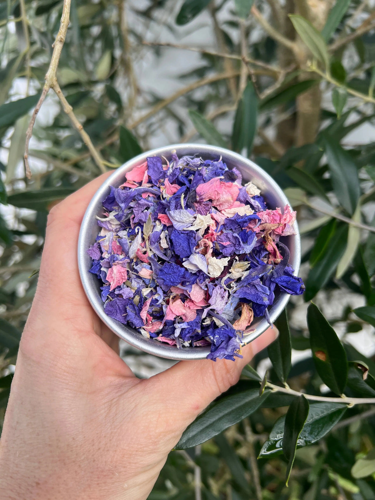 Hand holding a small bowl of purple, pink and white Larkspur Confetti petals