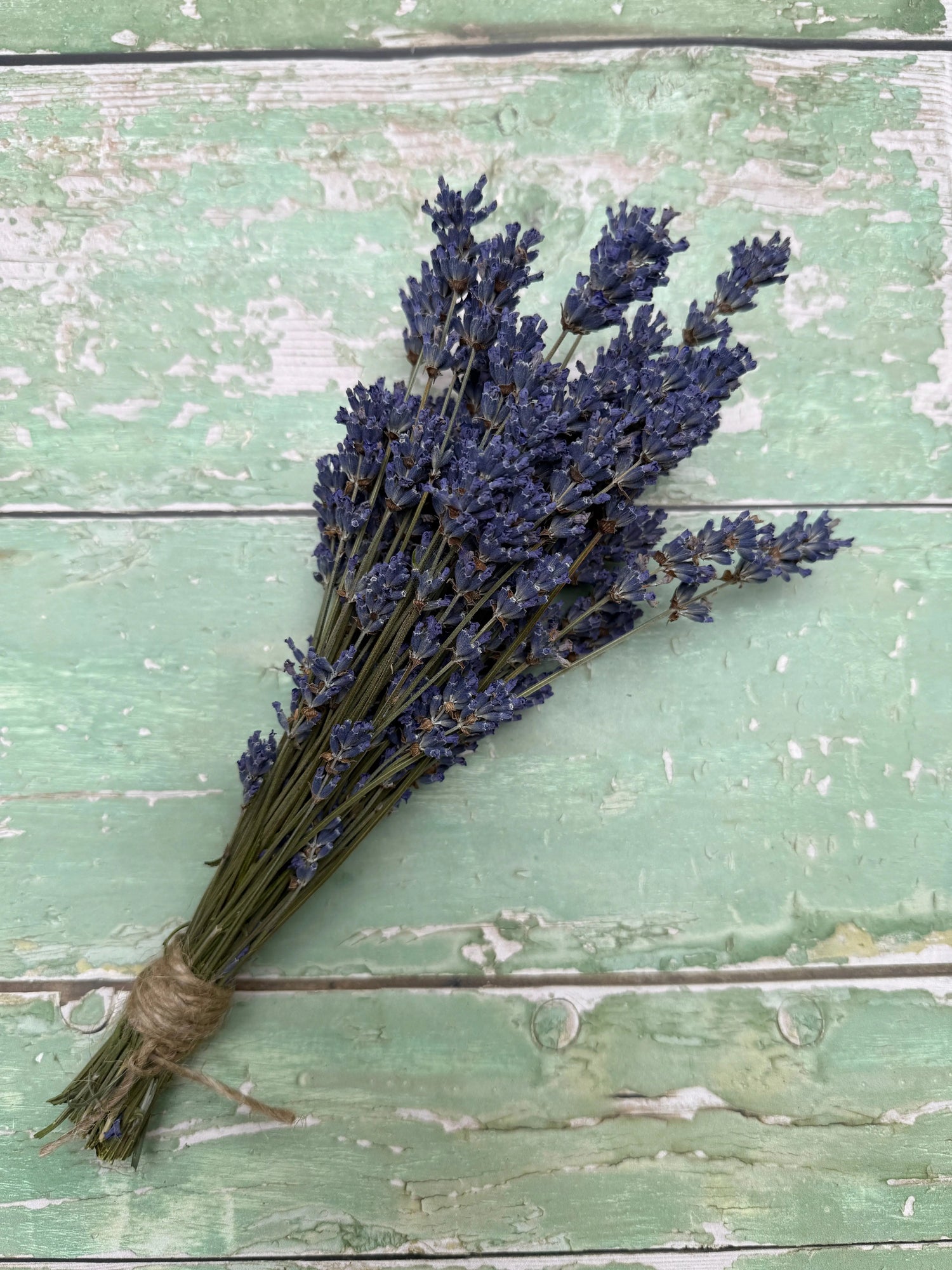 Lavender Dried (Small) - Bishy Barnabees Cottage Garden Ltd