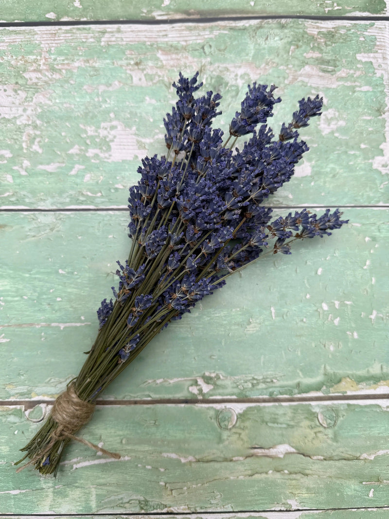 The Lavender Dried (Small) by Bishy Barnabees Cottage Garden Ltd is a fragrant English lavender bunch, tied with twine and ideal as a natural room fragrance, shown here on a mint green distressed wooden surface.