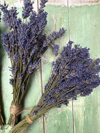 Two bundles of Bishy Barnabees Cottage Garden Ltd's Lavender Dried (Small) with long stems and dense purple flowers are tied with twine on a rustic green surface—perfect for natural room fragrance.