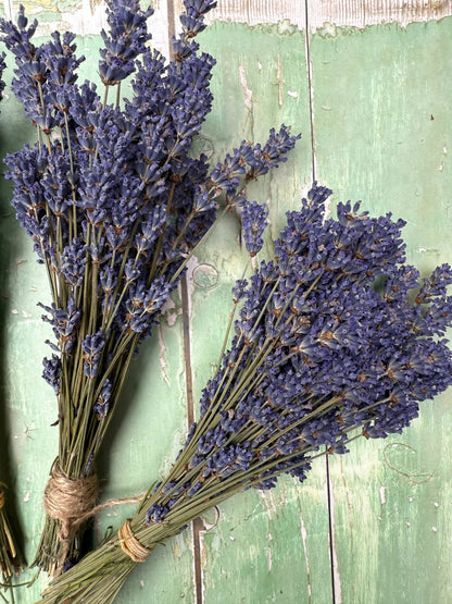 Lavender Dried (Small) - Bishy Barnabees Cottage Garden Ltd