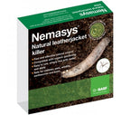Leatherjacket Nematodes box with a leatherjacket grub photo, containing Steinernema feltiae