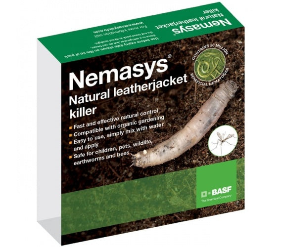 Leatherjacket Nematodes box with a leatherjacket grub photo, containing Steinernema feltiae