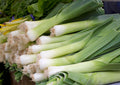 Leek Musselburgh – fresh white stems with green leaves laid out on a rustic market display