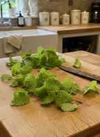 Lemon Balm (Melissa officinalis) – fresh sprigs on a chopping board with a knife in a farmhouse kitchen