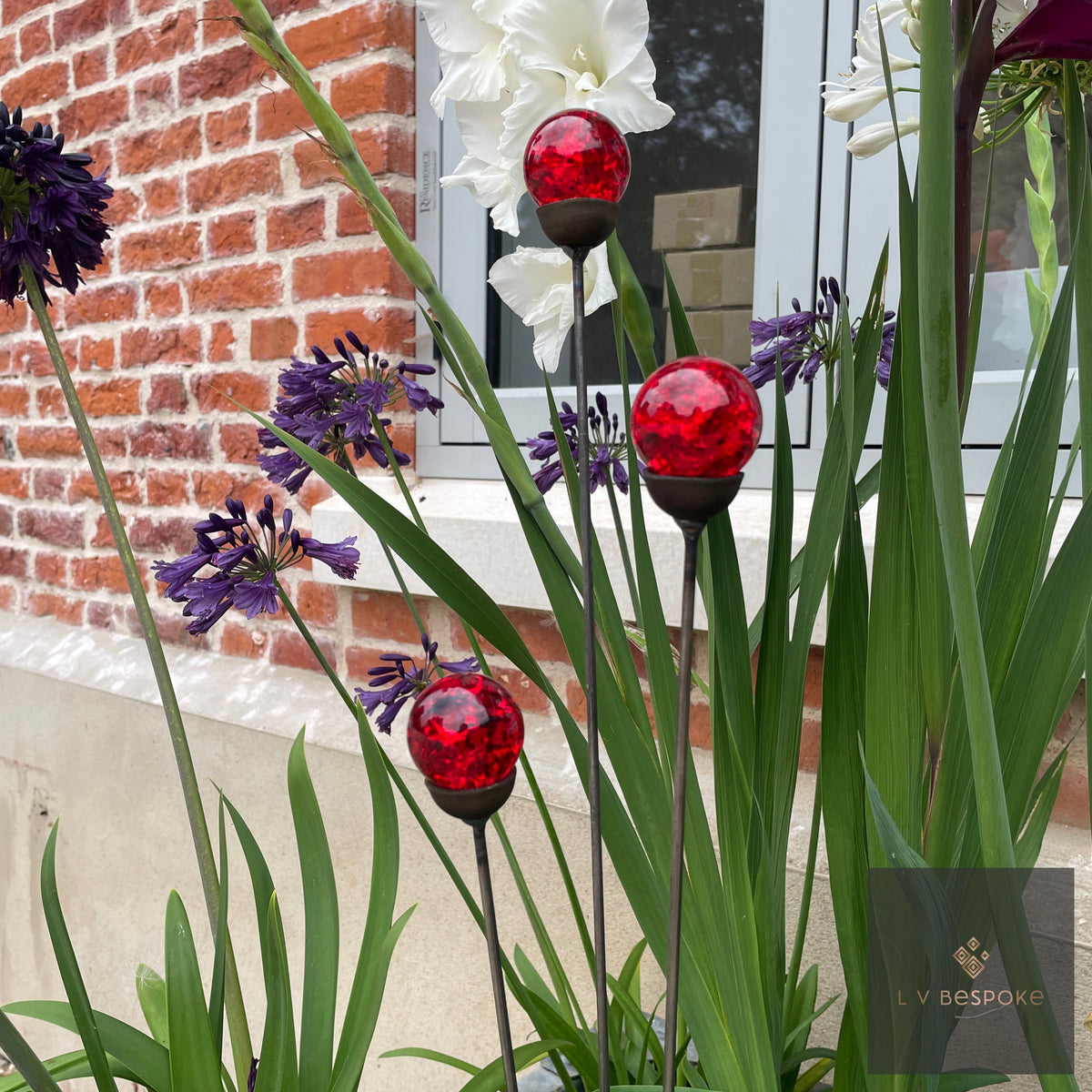 Glass Orb Cluster – red orbs among purple agapanthus by a brick house
