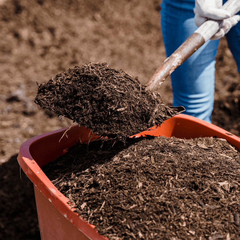Wearing blue jeans, a person uses a shovel to add Soil Improver Conditioner into a red wheelbarrow, with additional soil visible in the background.