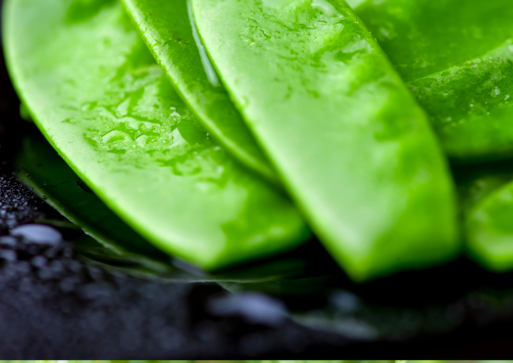 Close-up of flat Pea Mangetout Carouby de Maussane pods