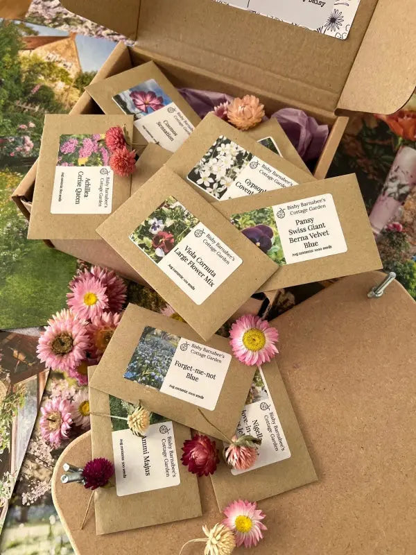 The Perfect for Pressing Seed Box plus Wooden Flower Press by Bishy Barnabees Cottage Garden features seed packets with floral labels and dried flowers—ideal for botanical keepsakes or experimenting with new varieties. Garden-themed paper sets the scene.