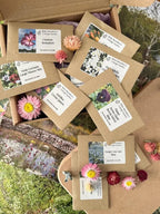 The Bishy Barnabees Cottage Garden Perfect for Pressing Seed Box plus Wooden Flower Press includes assorted labeled flower seeds and a wooden press—ideal for pressing or making botanical keepsakes. Some packets are partially open, all neatly arranged in the box.