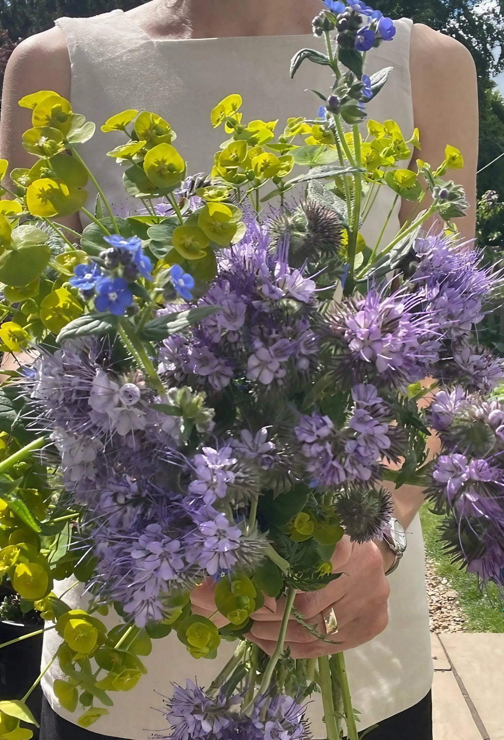 Person in a white top holding a large bunch of Phacelia and wildflowers