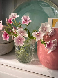 A small glass jar displays fragrant Bishy Barnabees Cottage Garden Phlox Blushing Bride on a white shelf, beside a pink ceramic vase and stacked bowls, with a teal plate in the background.