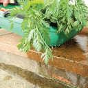 Garland Colander Trug | Garden-to-Kitchen Harvest Basket