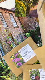 Flowers to Grow - Perfect for Pressing