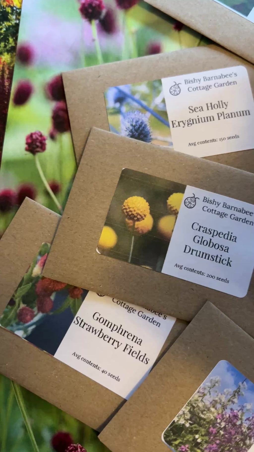 Flowers to Grow - Perfect for Drying Extra