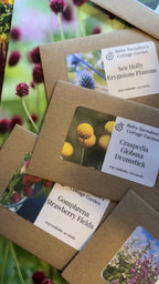 Flowers to Grow - Perfect for Drying Extra
