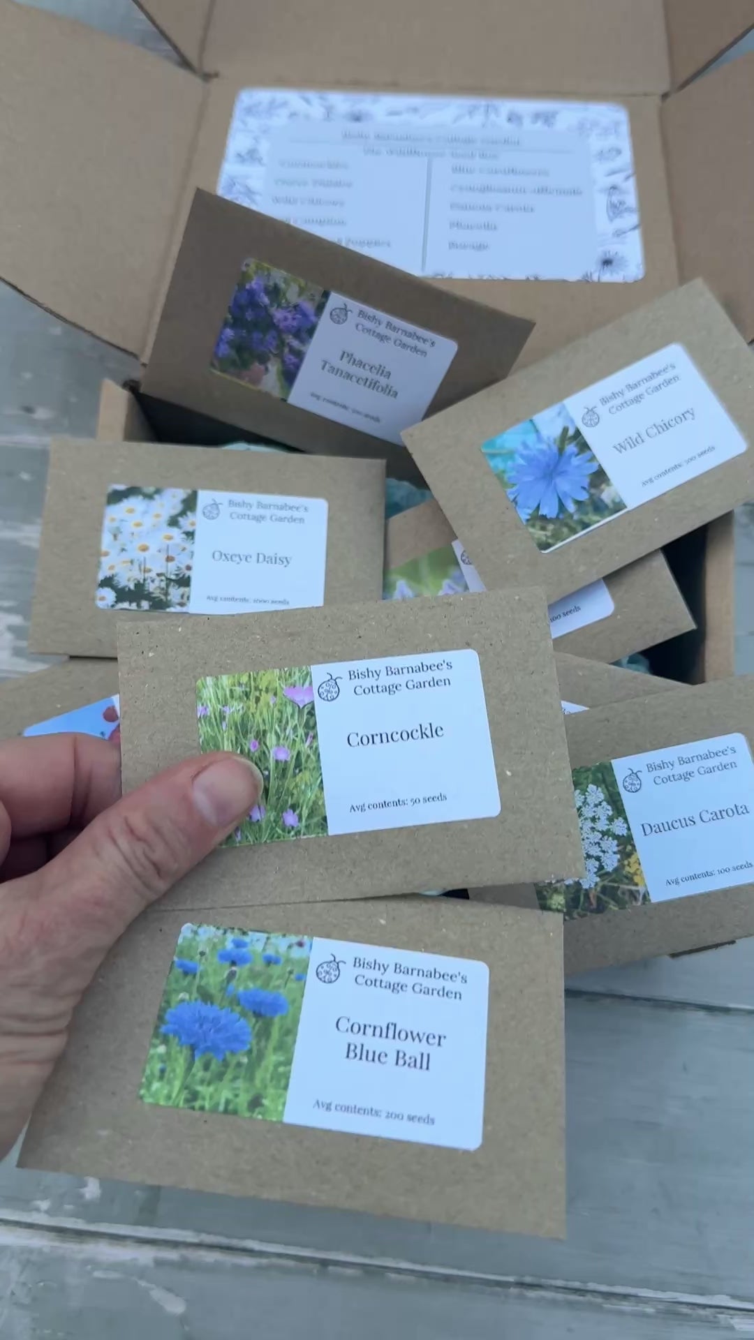 The Wildflower Seed Box